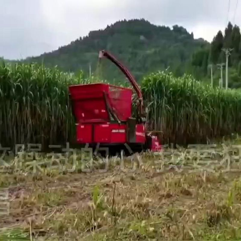 履帶圓盤青儲(chǔ)機(jī)視頻展示